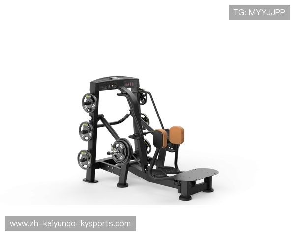 组合健身器材使用方法与训练计划